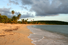 Vieques (Puerto Rico) - 11/11/2007
Sun Bay