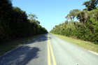 Everglades National Park - 07/03/2008
Road 9336